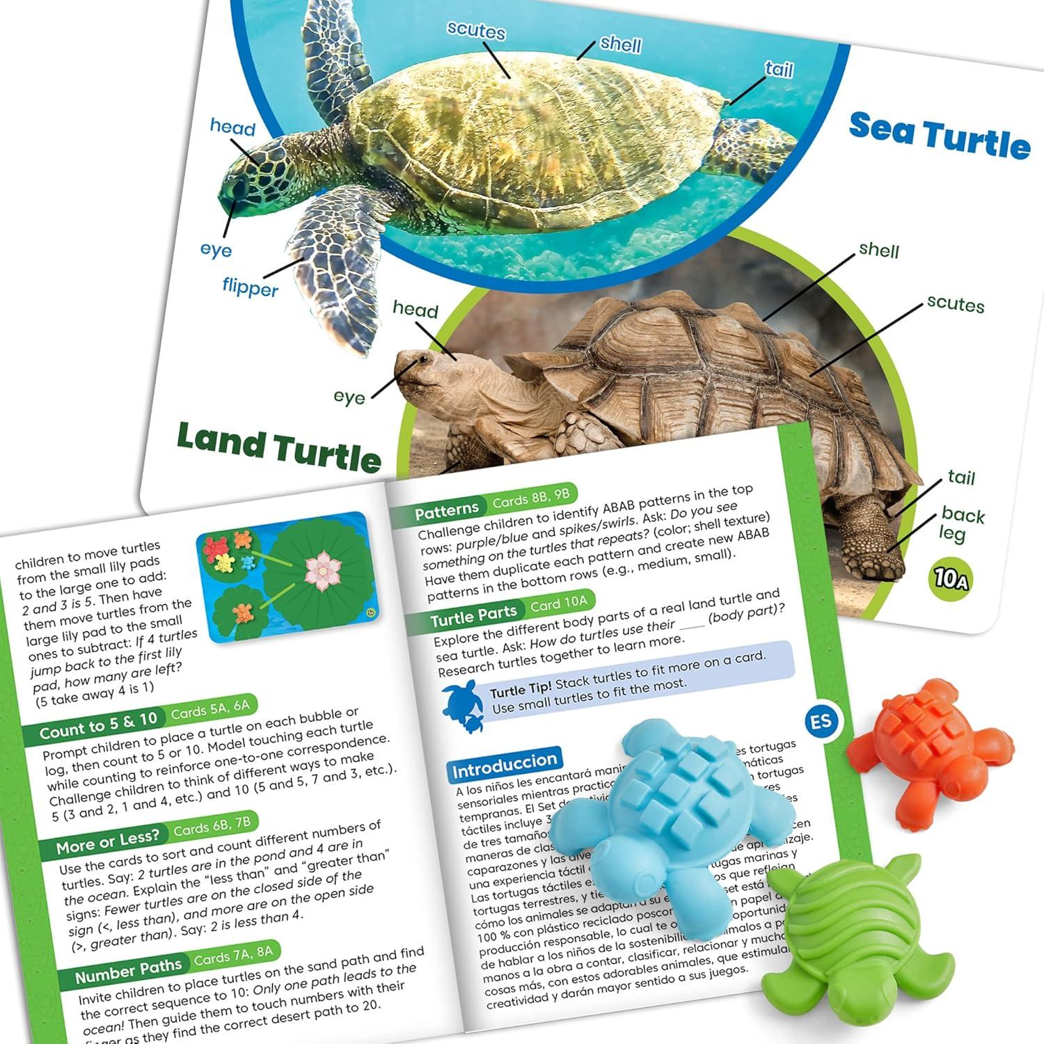 hand2mind Tactile Turtles Math Activity Set, Toddler Numbers and ...
