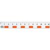 hand2mind 12 inch Flexible Safe-T Plastic Beginner Rulers, Set of 12