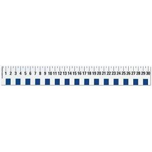 hand2mind 12 inch Flexible Safe-T Plastic Beginner Rulers, Set of 12