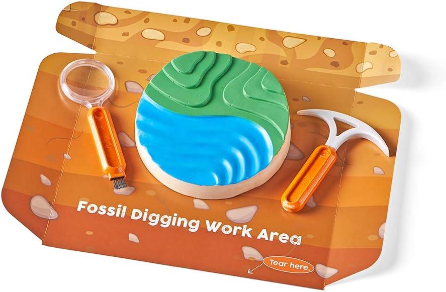 image:imagehand2mind Dig amp Display Fossil Dig Kit Fossil Display Case 8 Real Fossils to Uncover Dig Kits for Kids Fossil Digging Kit for Kids Excavation Kit for Kids Fossil Science Archeology Kits
