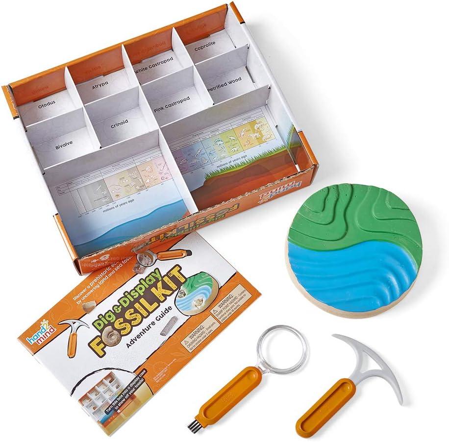image:imagehand2mind Dig amp Display Fossil Dig Kit Fossil Display Case 8 Real Fossils to Uncover Dig Kits for Kids Fossil Digging Kit for Kids Excavation Kit for Kids Fossil Science Archeology Kits
