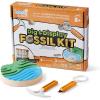 hand2mind Dig & Display Fossil Dig Kit, Fossil Display Case, 8 Real Fossils to Uncover, Dig Kits for Kids, Fossil Digging Kit for Kids, Excavation Kit for Kids, Fossil Science, Archeology Kits