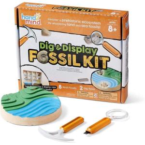 hand2mind Dig & Display Fossil Dig Kit, Fossil Display Case, 8 Real Fossils to Uncover, Dig Kits for Kids, Fossil Digging Kit for Kids, Excavation Kit for Kids, Fossil Science, Archeology Kits