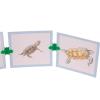 hand2mind Clip-itz Life Cycle Card Set(Life Cycle Set)