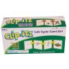 hand2mind Clip-itz Life Cycle Card Set(Life Cycle Set)